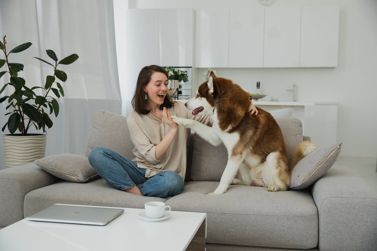 Ready to buy a home in 2025